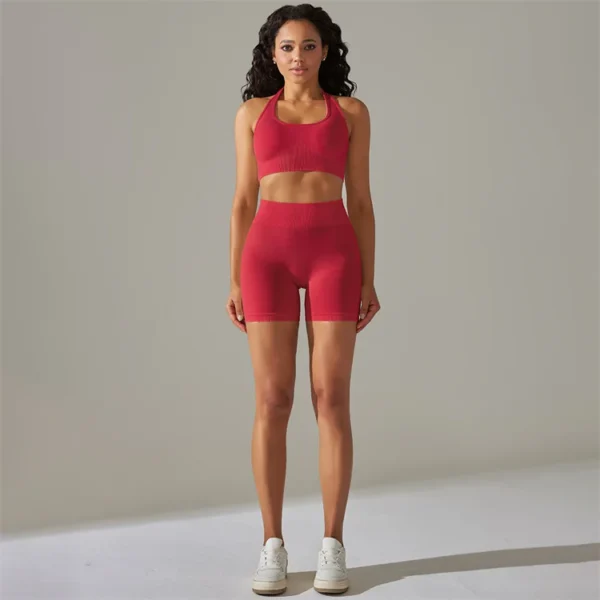 Halter Neck Bra and Shorts Gym Set - Image 14