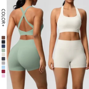 2 Piece AeroForm Shorts and Bra Gym Set